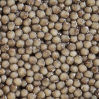 N25 Kaluga Caviar roes