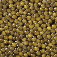 N25 Oscietra Caviar roes