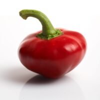 Nora Pepper for Paprika