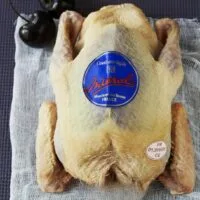 eral Pigeon Squab with feet