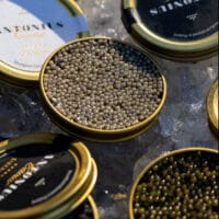 Antonius Caviar
